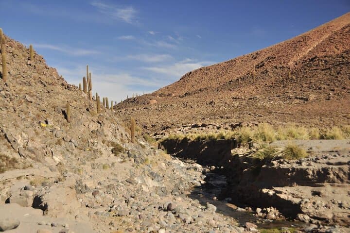 Puritama Canyon & Guatin Trekking — Canyon Walk, Hot Pools & Highland Culture from San Pedro de Atacama photo 3