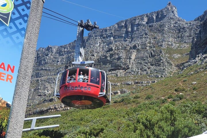 Cape Peninsula Private Tour: Table Mountain, Boulders Beach & Cape Point