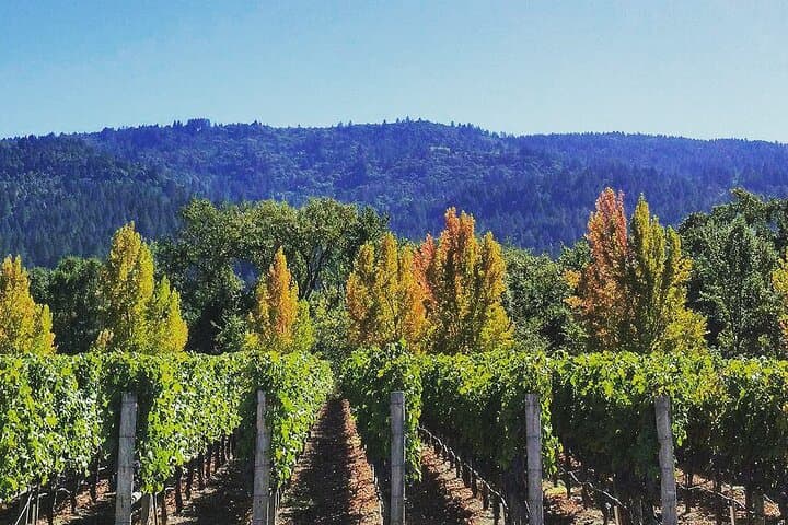 Private Napa Valley Wine Tour: Boutique Wineries, Winemakers & Hilltop Views photo 2