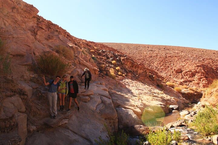 Hidden Waterfall Trekking Near San Pedro de Atacama — Vilama River Oasis photo 6