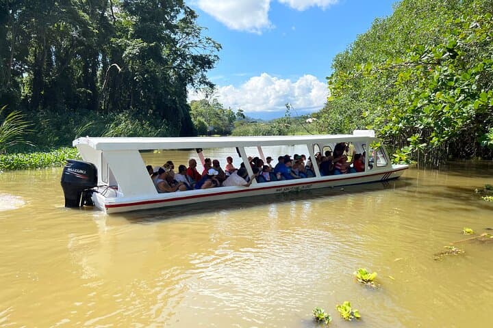 Full-Day Tortuguero Canal and Zipline Adventure from Limón