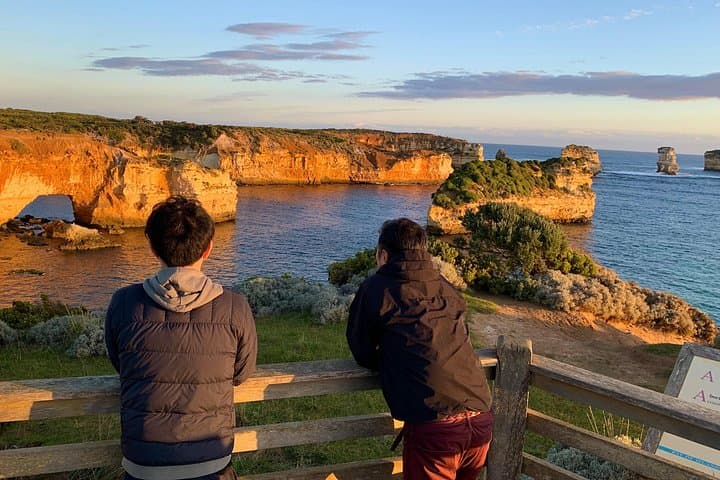 Great Ocean Road Private Full-Day Tour from Melbourne — 12 Apostles, Rainforest & Koalas photo 4