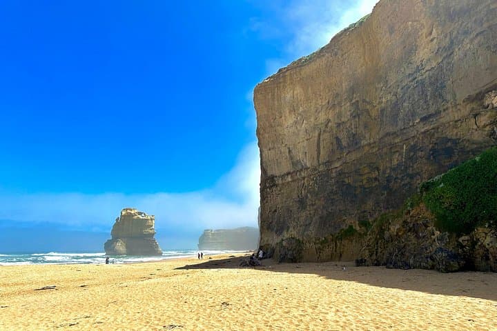 Great Ocean Road Private Full-Day Tour from Melbourne — 12 Apostles, Rainforest & Koalas photo 2