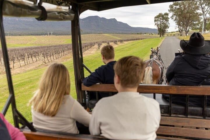 Horse-and-Carriage Wine Tour in Pokolbin: 3-Hour Harvest the Hunter Experience photo 4