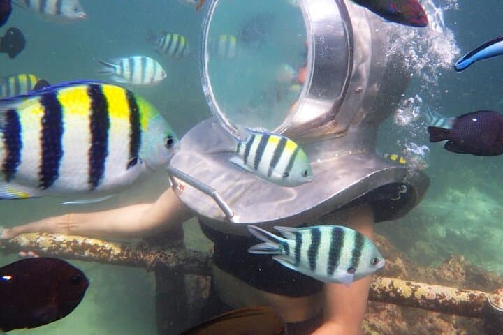 Nusa Dua Underwater Sea Walk: Guided Helmet Dive Experience in Bali photo 2