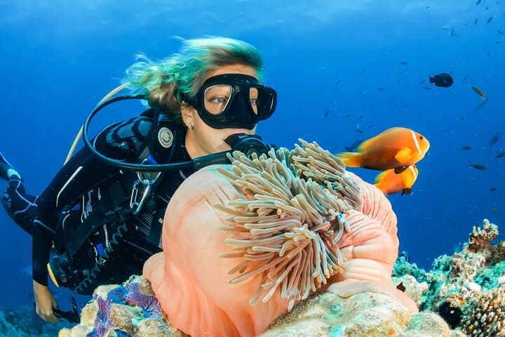 Discover Scuba Diving in Dubai: Beginner-Friendly Arabian Gulf Adventure
