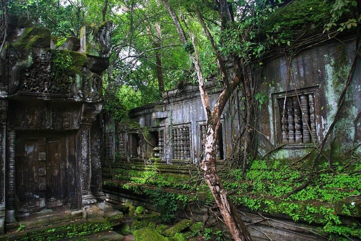 Private Koh Ker & Beng Mealea Full-Day Temple Tour from Siem Reap photo 6