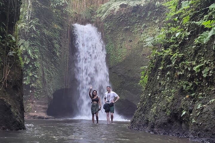 Ubud Swing, Rice Terraces & Sacred Springs — Private Full-Day Tour photo 4