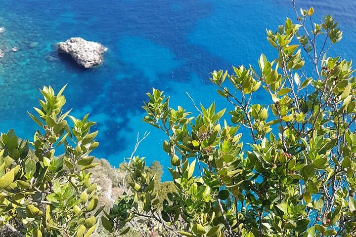 Capri Private Full-Day Tour from Rome: Monte Solaro, Blue Grotto & Augustus Gardens photo 4