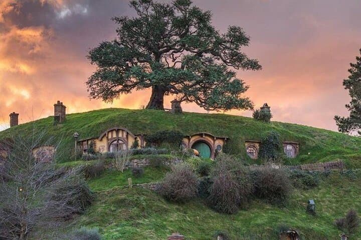 Hobbiton, Blue Springs & Te Aroha Mineral Spa — Full‑Day Private Tour from Auckland photo 2