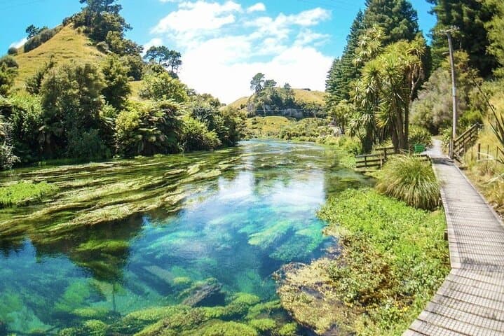 Hobbiton, Blue Springs & Te Aroha Mineral Spa — Full‑Day Private Tour from Auckland photo 5