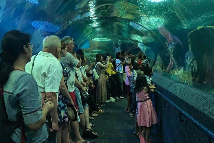 Underwater World Pattaya — 100m Glass Tunnel, Touch Pools & Marine Zones photo 3