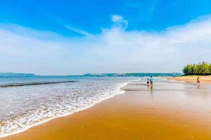 full-day-south-goa-sightseeing-tour-old-goa-spice-plantation-and-beaches photo 5