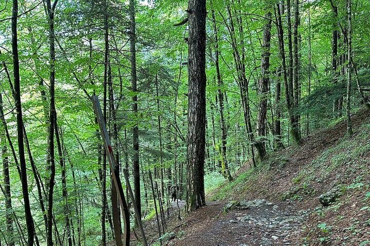 Private Olympus Hiking Tour from Thessaloniki — Enipeas Gorge & Dion photo 6