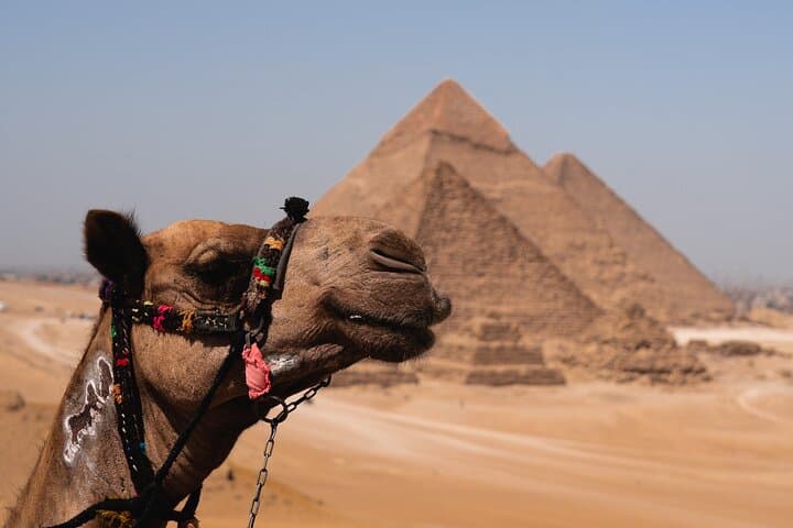 Giza Pyramids & Egyptian Museum: A Day Among Pharaohs
