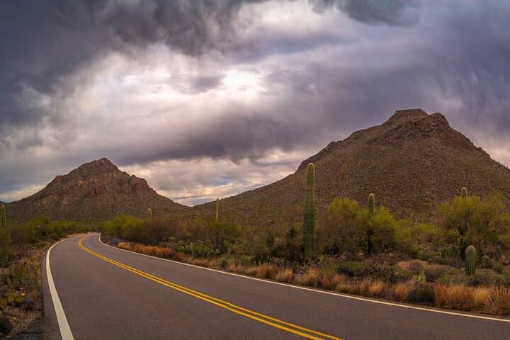 Self-Guided Saguaro National Park Driving Audio Tour — East & West Routes photo 6