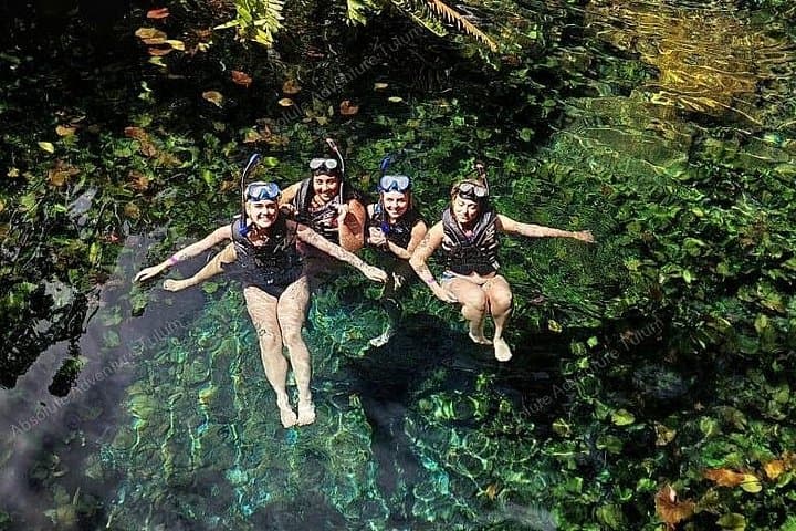 Private Cenote Snorkeling Tour in Tulum: Nicte Ha & Taak Bi Ha photo 4