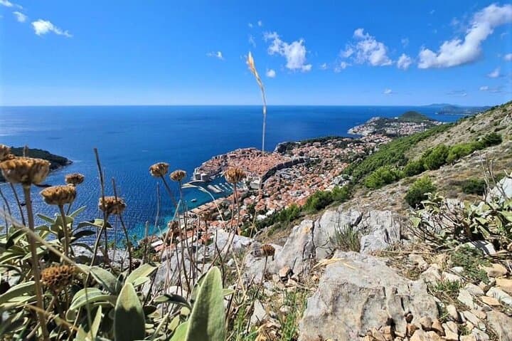 Dubrovnik Panoramic Minivan Tour: Srđ Peak, Ombla Spring & Dubrovnik Bridge photo 2