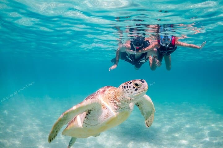 Tulum VIP Private Tour: Cenote Swim, Tulum Ruins & Akumal Turtle Snorkel photo 2