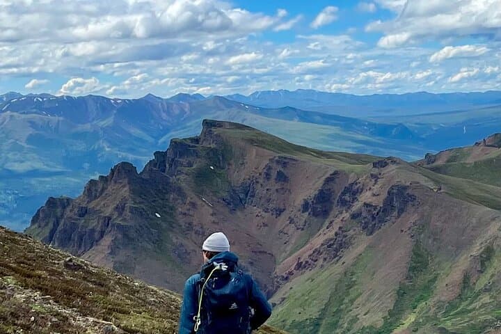 Explore Denali National Park on a Guided Naturalist Walking Tour