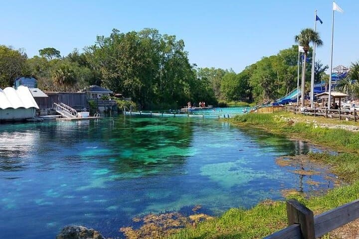 Weeki Wachee Kayaking Guide: Clear Springs, Wildlife & Practical Tips photo 3