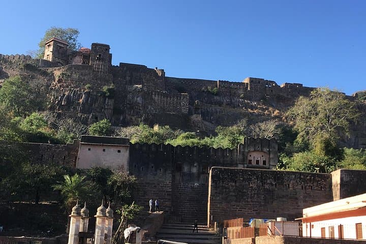Private 3-Day Ranthambore Wildlife Safari from Delhi — Spot Bengal Tigers photo 4