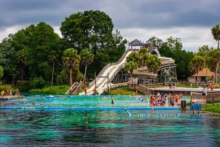 Weeki Wachee Kayaking Guide: Clear Springs, Wildlife & Practical Tips photo 4