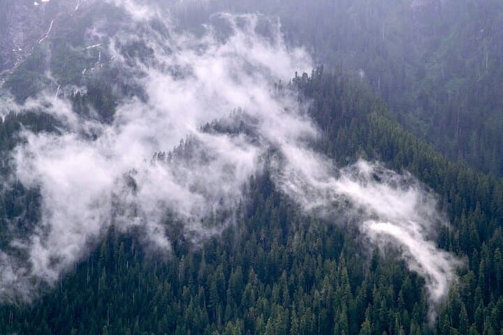 Winter Day Tour to Longmire — Mount Rainier Snow Walks from Seattle photo 4