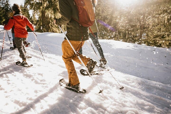 Winter Day Tour to Longmire — Mount Rainier Snow Walks from Seattle photo 3