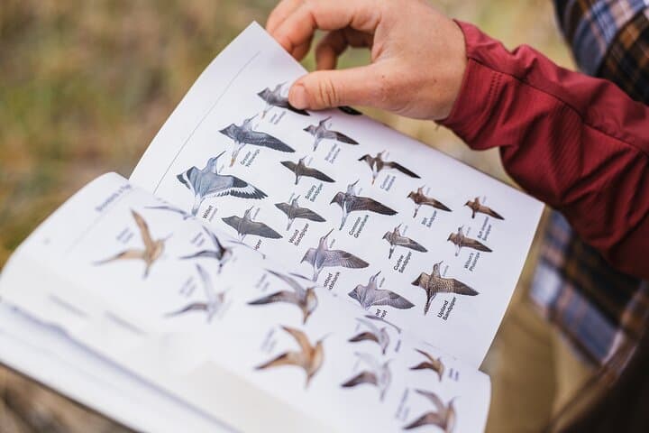 Skagit Valley Birding and Deception Pass Day Tour from Seattle photo 6