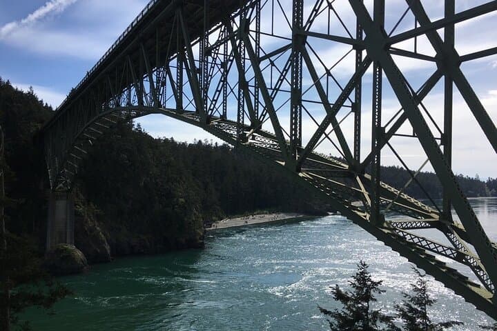 Skagit Valley Birding and Deception Pass Day Tour from Seattle photo 4
