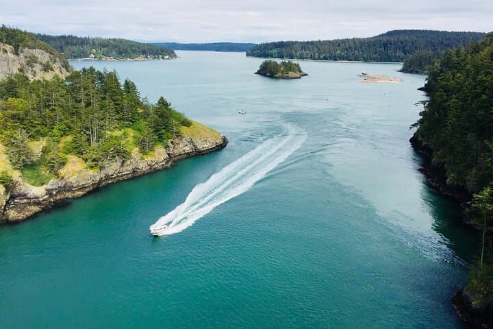 Skagit Valley Birding and Deception Pass Day Tour from Seattle photo 3