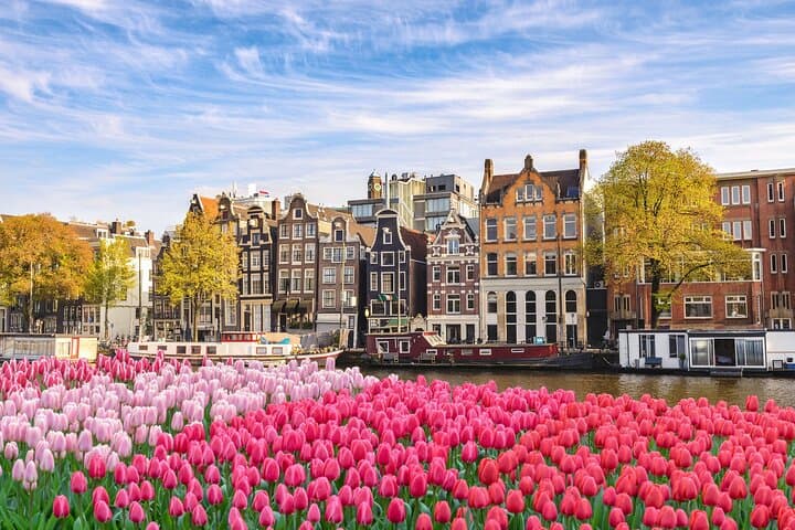 Private Full-Day Shore Tour: Amsterdam Highlights from the Port