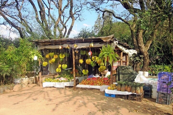 Explore Nairobi: Private Sightseeing Tour of Nairobi National Park & City Highlights photo 5