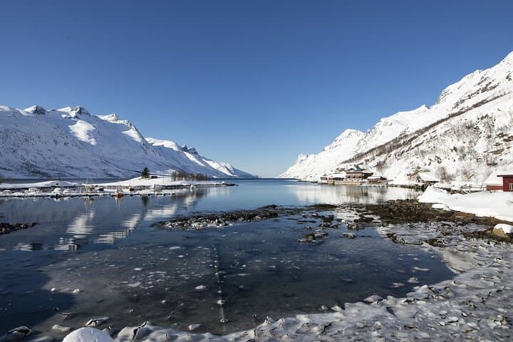 Tromso Fjords Road Trip with Grill Cabin & White-Sand Beach Break photo 4