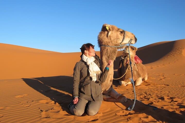 Fez to Marrakech Desert Tour: 3-Day Merzouga Sahara & Ait Ben Haddou Adventure photo 3