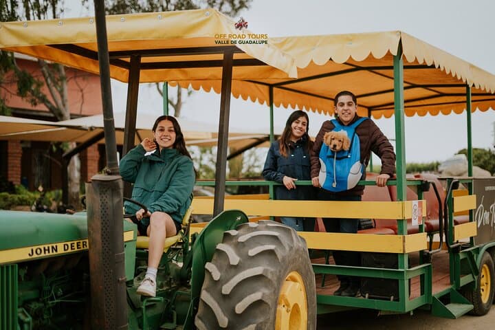 Tractor Pull Through Valle de Guadalupe: Vineyard Tractor Tour & Wine Tasting photo 5