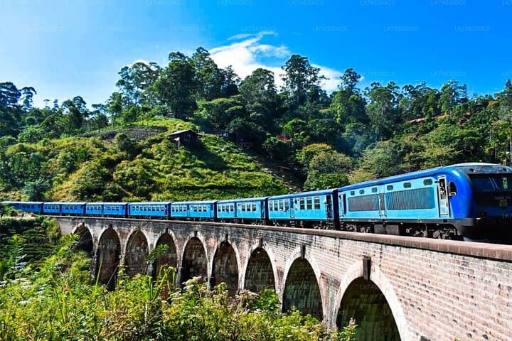 Ella Day Trip: Scenic Train, Nine Arch Bridge & Tea Factory Experience photo 2