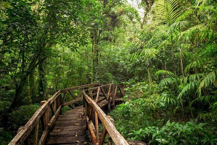 Mombacho Volcano Hike and Zipline Adventure from Granada photo 6