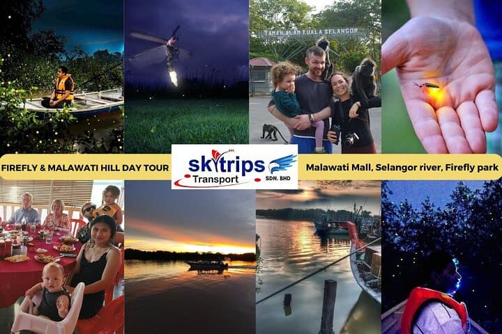 Kuala Selangor Fireflies with Batu Caves & Melawati Hill — Sunset Dinner Day Tour photo 1