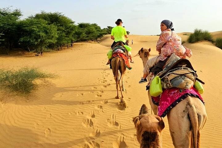 Overnight Camel Safari in Thar Desert from Jaisalmer — Non-Touristic Nomadic Camp