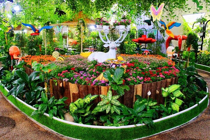 Dubai Butterfly Garden: Admission Ticket & Visitor Guide photo 2