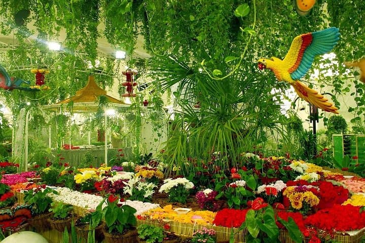 Dubai Butterfly Garden: Admission Ticket & Visitor Guide photo 4