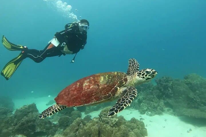 Siquijor Scuba Diving for Beginners — Discover Tubod Marine Sanctuary photo 2