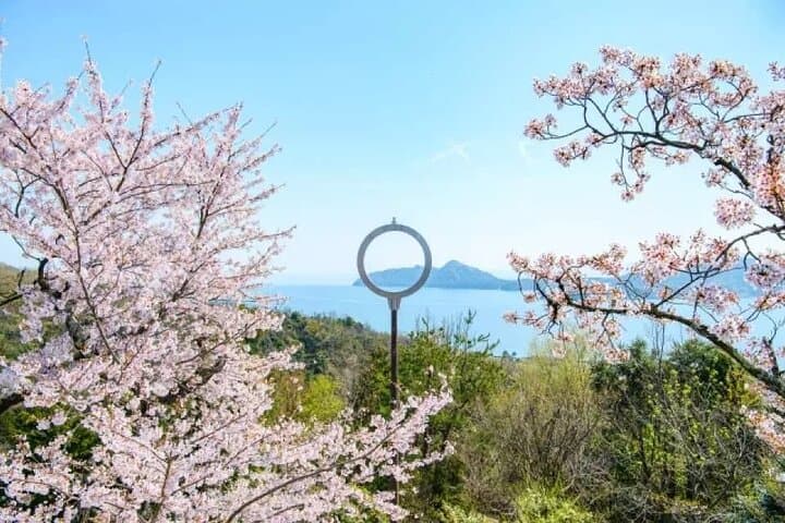 Amanohashidate & Ine Bay Day Tour: Cruise the Funaya and Walk Miyama’s Thatched Streets photo 2
