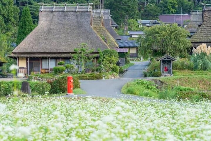 Amanohashidate & Ine Bay Day Tour: Cruise the Funaya and Walk Miyama’s Thatched Streets photo 5