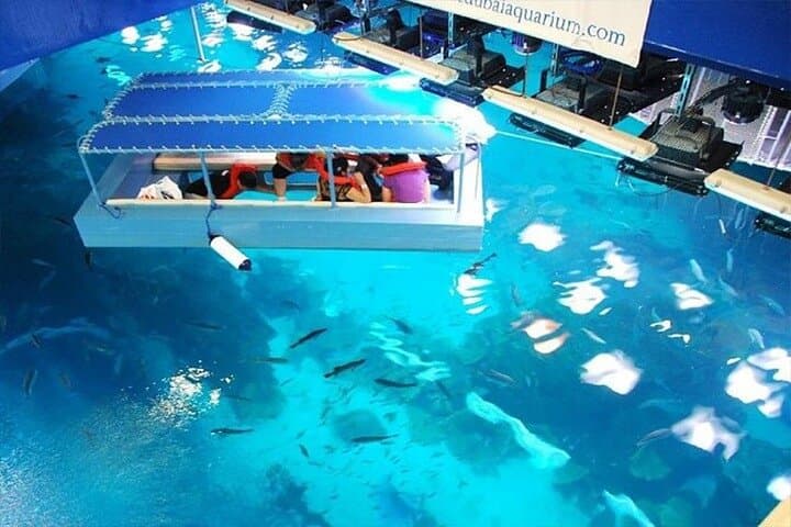 Dubai Aquarium & Underwater Zoo — Admission Ticket and Visitor Guide photo 6
