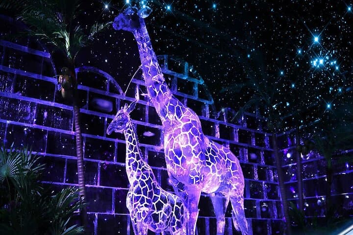 Dubai Garden Glow: Glow Garden, Dino Park & Magic Park Night Admission photo 3