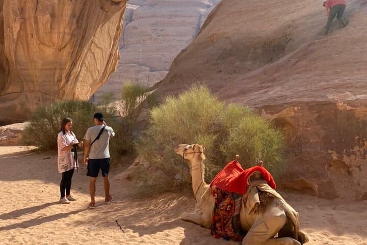 Jebel Al Hash Summit Hike — Full-Day Wadi Rum Adventure from Aqaba photo 5