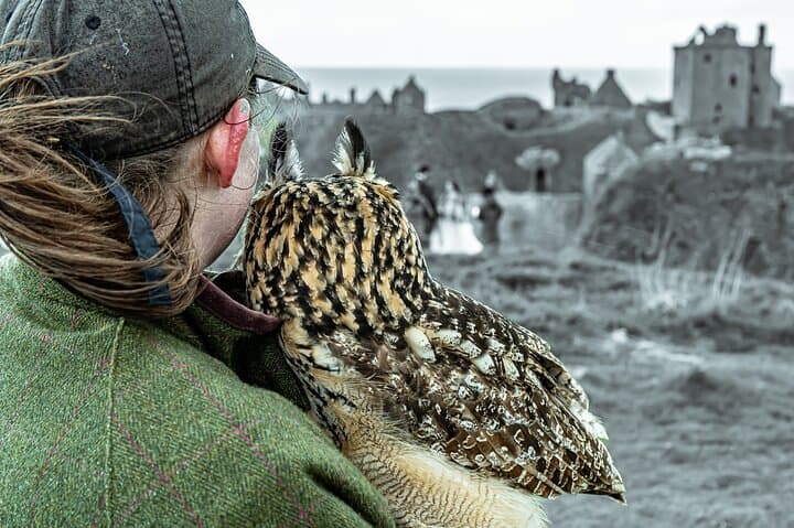 Day Trip from Edinburgh: St Andrews, Dunnottar Castle & Dundee Private Tour photo 6